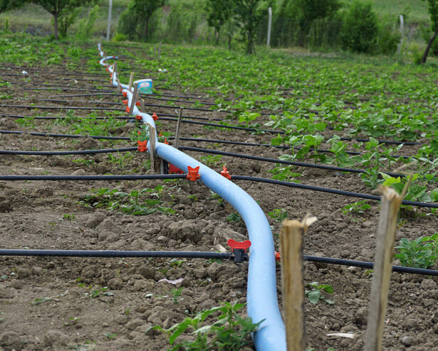 a landscaped garden with drip system, made with the drip-watering systems garden, a landscaped garden with drip system, made with the drip-watering systems garden,