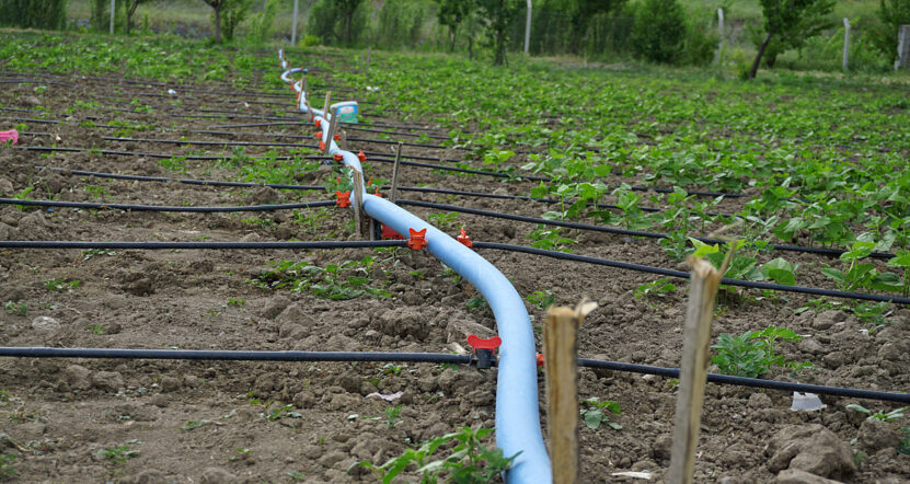 a landscaped garden with drip system, made with the drip-watering systems garden, a landscaped garden with drip system, made with the drip-watering systems garden,