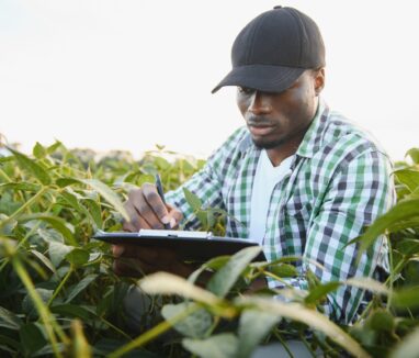 Ingénieur agronome réalisant des relevés de terrain