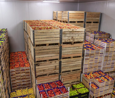 Fruits locaux stockés en chambre froide
