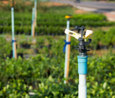 Gros plan sur un système d’irrigation par aspersion